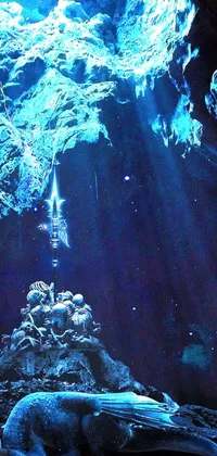 This live wallpaper takes you on an immersive experience into an undersea cave