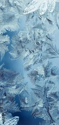 This phone live wallpaper showcases stunning ice crystals arranged on a window surface, designed with delicate intricacy and inspired by calligraphic motifs