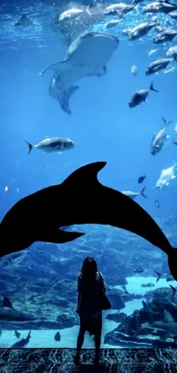 Water World Underwater Live Wallpaper