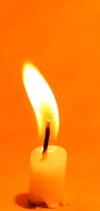 Wax Candle Fire Live Wallpaper