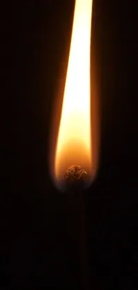 Wax Candle Flame Live Wallpaper