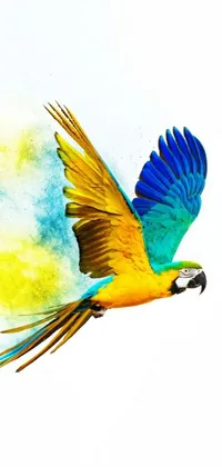 Bring the beautiful and mesmerizing flight of a colorful bird to your phone's screen with this stunning live wallpaper