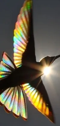 This stunning live phone wallpaper features a holographic image of a hummingbird gracefully flying in a sunny sky