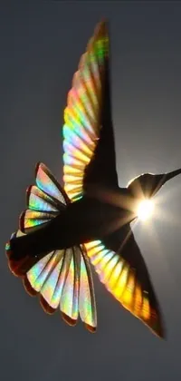 Elevate your phone's look with this stunning hummingbird live wallpaper