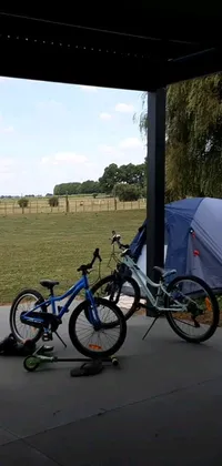 This phone live wallpaper depicts parked bikes beside a camping tent in an Australian backdrop