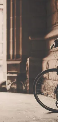 Experience the beauty of a vintage bicycle leaning against a building in a college courtyard through this stunning live wallpaper