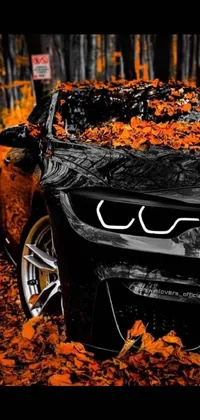 This live wallpaper features a breathtaking artwork of a black BMW M1 parked on the roadside, surrounded by seasonal, autumn leaves - woven into a natural and dreamy backdrop
