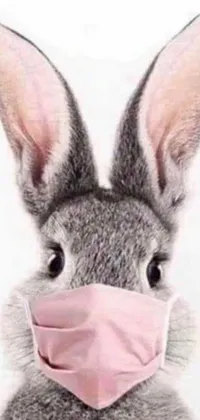 This live wallpaper features a close-up of a cute rabbit wearing a face mask, emphasizing the importance of staying safe during these unprecedented times
