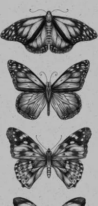 This stunning phone live wallpaper features a group of butterflies sitting on top of each other in a stipple style, created by an artist on Society 6