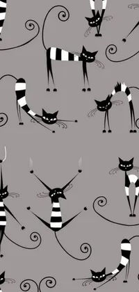 This live wallpaper features a collection of black and white cats in playful and acrobatic poses on a soft gray background