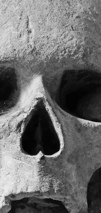 This live phone wallpaper features a detailed black and white photo of a skull in a concrete art style by Louis Schanker