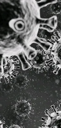 This black and white live wallpaper features a microscopic photo of a corona virus with antibodies and bacteria around it