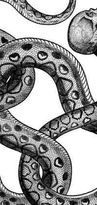 Looking for a stunning live wallpaper that features a black and white drawing of a snake? Look no further than this vintage-inspired illustration of entwined snake bodies