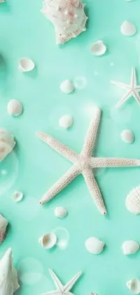 This phone live wallpaper showcases the captivating beauty of sea shells and starfishes against a turquoise background