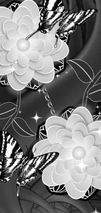 This phone live wallpaper showcases a stunning black and white background adorned with two elegant white flowers illustrated in vector art