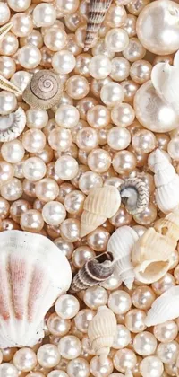 This gorgeous phone live wallpaper features a stunning close-up of pearls and shells, capturing the natural beauty of the ocean