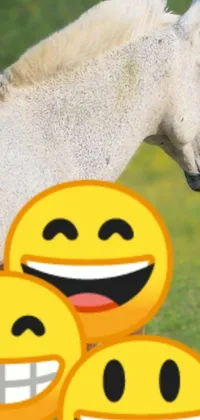 This live wallpaper shows a stunning white horse against a lush green field