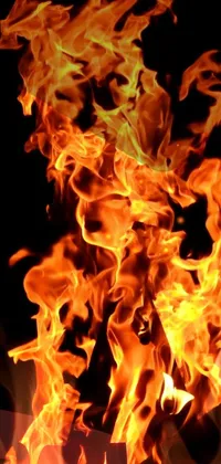 This live wallpaper depicts a striking close-up of fire on a black background