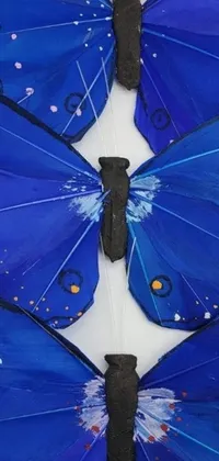 Experience the beauty of nature right on your phone with this stunning live wallpaper! Set against a pristine white wall, a group of blue butterflies are perched elegantly creating a mesmerizing motion effect