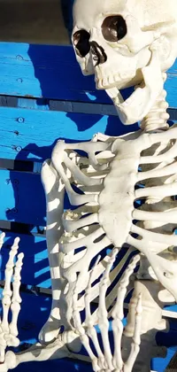 This live wallpaper features a detailed, anatomical skeleton sitting on top of a blue bench, set against the beautiful backdrop of Costa Blanca