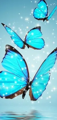This minimalist digital art live wallpaper features a beautiful group of blue butterflies flying over water