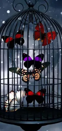 This stunning live phone wallpaper features a birdcage filled with colorful butterflies, set against a beautiful colorized photograph with purple and red tones