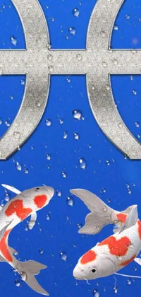 Check out this stunning phone live wallpaper featuring two beautifully illustrated fish swimming side by side in a poster art style