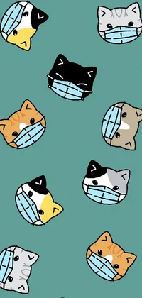 Phone live wallpaper featuring a group of cats wearing different colored masks with big expressive eyes and whiskers