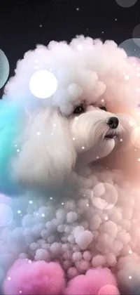 White Light Dog Live Wallpaper