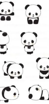 This live phone wallpaper features a group of adorable panda bears sitting next to each other