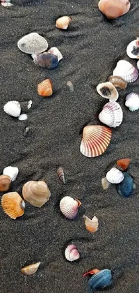 This mesmerizing phone live wallpaper showcases a cluster of shells arranged in a mosaic pattern atop a sandy beach