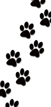 This live wallpaper features black and white paw prints of a dog walking on a white background, complete with a subtly shimmering animation effect