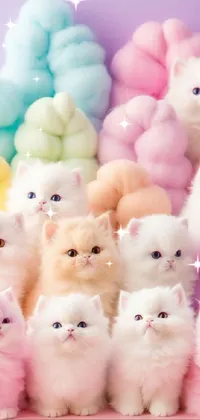 White Pink Toy Live Wallpaper