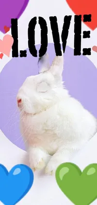 This adorable phone live wallpaper features a fluffy white rabbit sitting within a heart-shaped circle, surrounded by bubbles