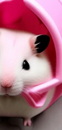 White Rodent Pink Live Wallpaper
