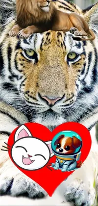 White Siberian Tiger Bengal Tiger Live Wallpaper