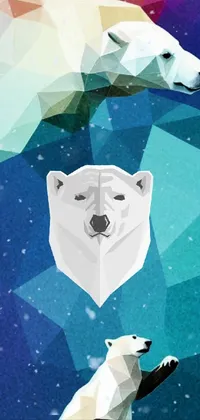 Polar bear star Live Wallpaper