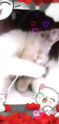This adorable live wallpaper for your phone showcases a fluffy white cat resting on top of a vibrant pile of red hearts