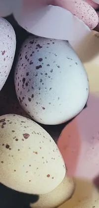 White Vertebrate Egg Live Wallpaper