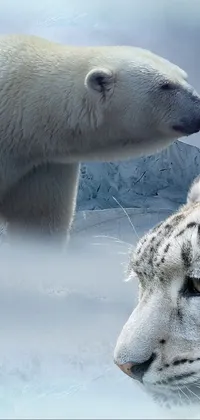 Decorate your phone with our latest live wallpaper featuring a stunning image of a polar bear and a snow leopard standing side by side in an icy Arctic landscape
