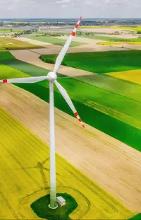 Windmill Ecoregion Green Live Wallpaper