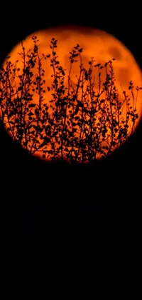 This phone live wallpaper showcases a striking artwork depicting a vibrant orange tree against a full moon backdrop