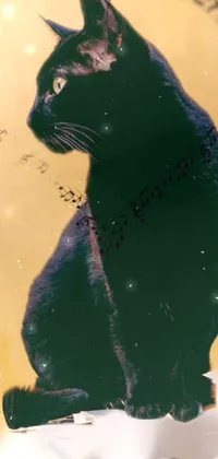 Window Cat Felidae Live Wallpaper