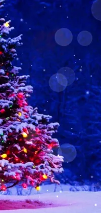 Window Christmas Tree Light Live Wallpaper