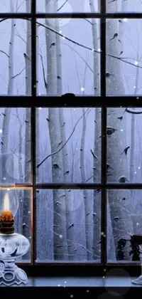 Window Light Wood Live Wallpaper