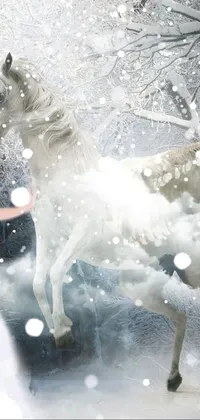 🤍🐻‍❄️ Live Wallpaper