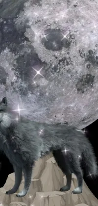 This live phone wallpaper features a stunning mixed media 3D collage of a wolf standing in front of a full moon, set against a lush sakura backdrop