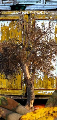 This lively and delightful phone live wallpaper features a quaint yellow door with a tree sprouting out of it, an attractive ecological art element, camo pattern in the background, a sweet birdhouse hanging from a branch and a rusted hinges on the door