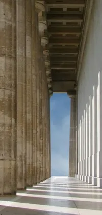 Wood Column Symmetry Live Wallpaper
