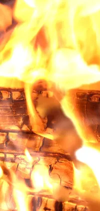 Warm up your phone screen with this cozy live wallpaper featuring a realistic close up of a fire burning in a fireplace